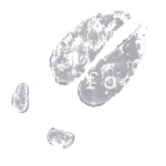 elkfoot